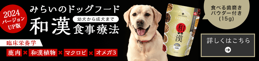 PR3タイトル